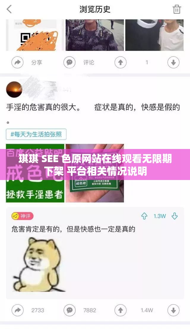 琪琪 SEE 色原网站在线观看无限期下架 平台相关情况说明