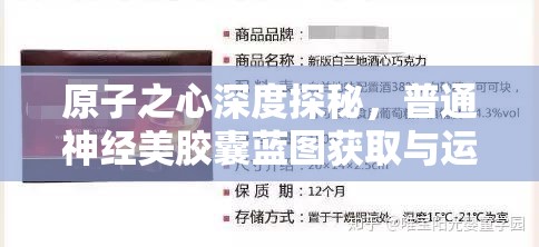 原子之心深度探秘，普通神经美胶囊蓝图获取与运用全攻略