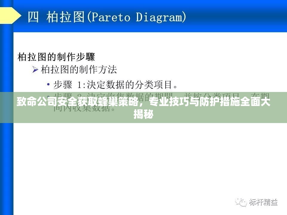 致命公司安全获取蜂巢策略，专业技巧与防护措施全面大揭秘