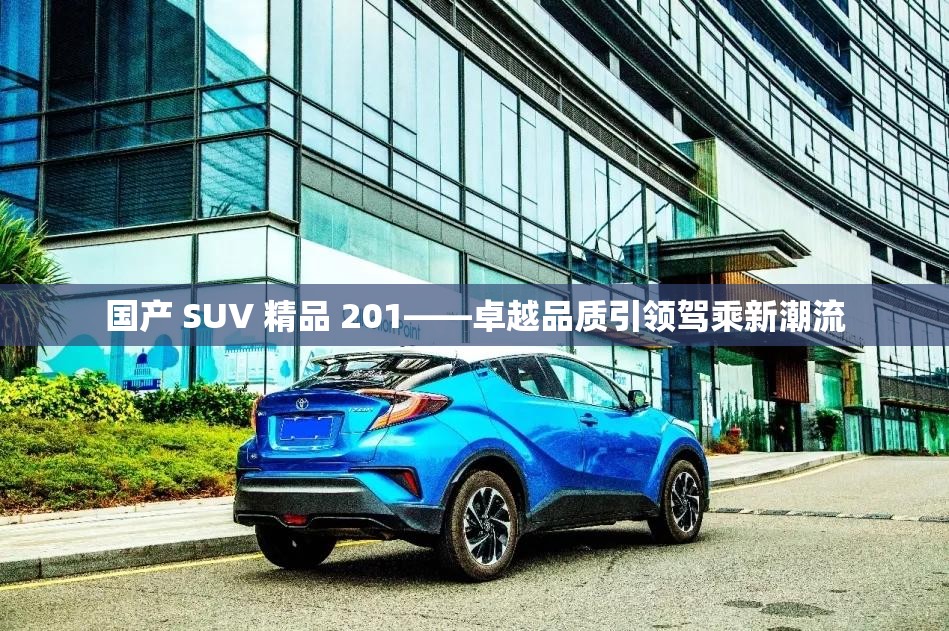 国产 SUV 精品 201——卓越品质引领驾乘新潮流