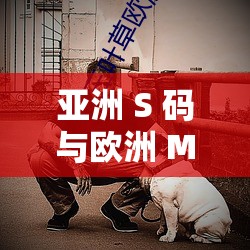 亚洲 S 码与欧洲 M 码吹潮的别样魅力探讨