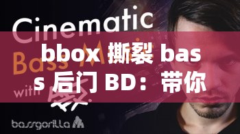 bbox 撕裂 bass 后门 BD：带你领略独特的音乐魅力与技巧