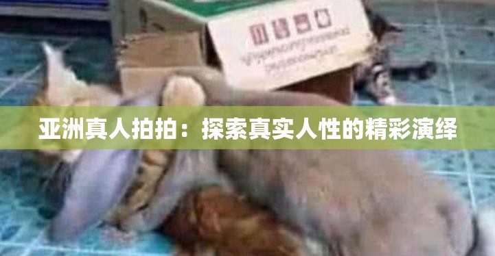 亚洲真人拍拍：探索真实人性的精彩演绎