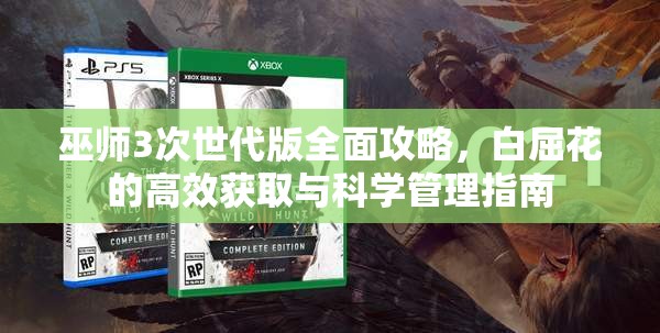 巫师3次世代版全面攻略，白屈花的高效获取与科学管理指南