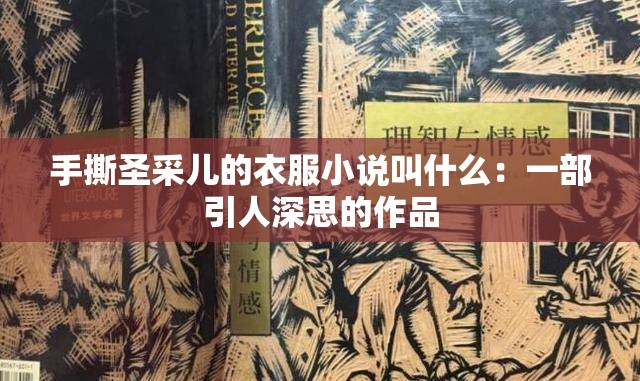 手撕圣采儿的衣服小说叫什么：一部引人深思的作品