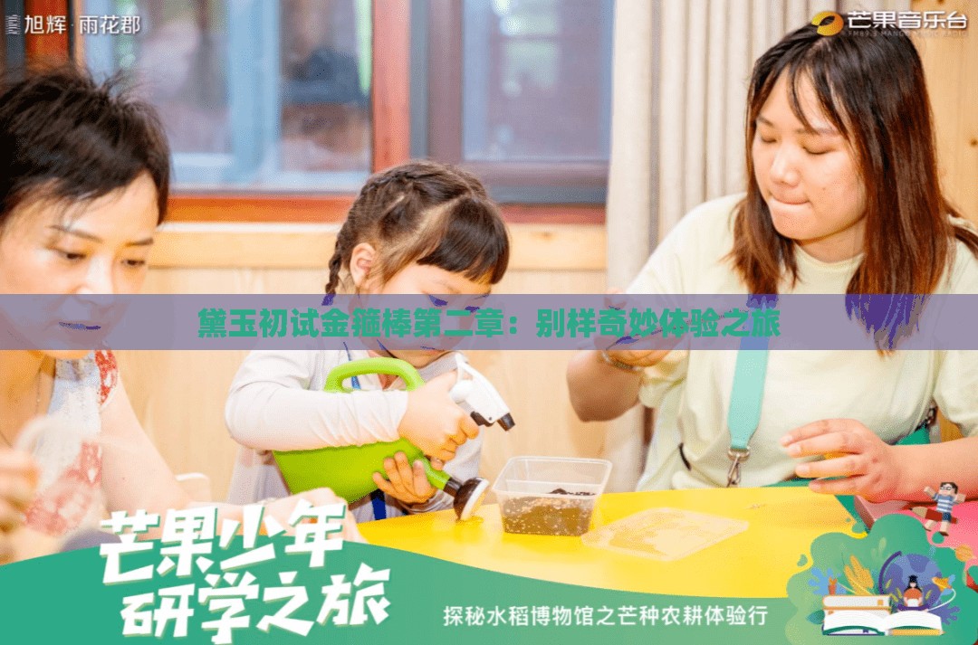 黛玉初试金箍棒第二章：别样奇妙体验之旅