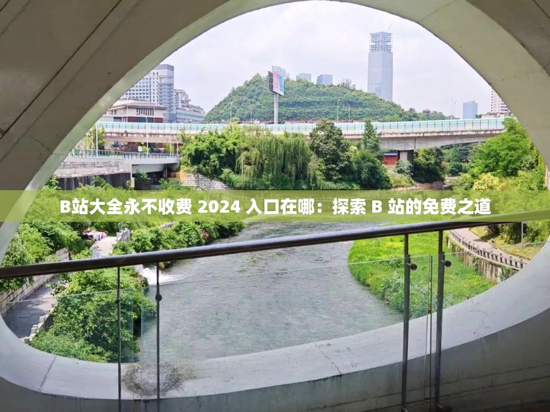 B站大全永不收费 2024 入口在哪：探索 B 站的免费之道