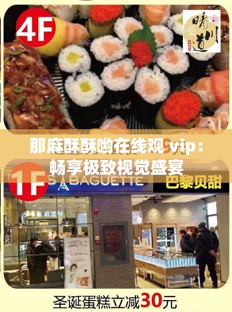 那麻酥酥哟在线观 vip：畅享极致视觉盛宴