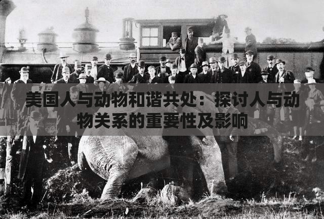 美国人与动物和谐共处：探讨人与动物关系的重要性及影响