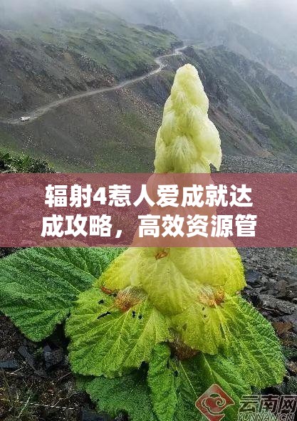 辐射4惹人爱成就达成攻略，高效资源管理、必备技巧与最大化游戏价值策略