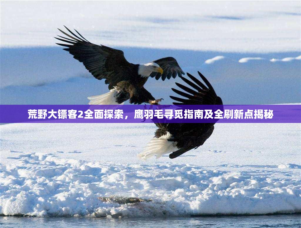 荒野大镖客2全面探索，鹰羽毛寻觅指南及全刷新点揭秘