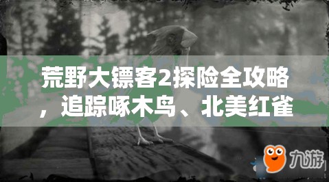 荒野大镖客2探险全攻略，追踪啄木鸟、北美红雀、蓝松鸦与黄鹂的奇妙之旅