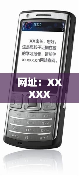 网址：XXXXX