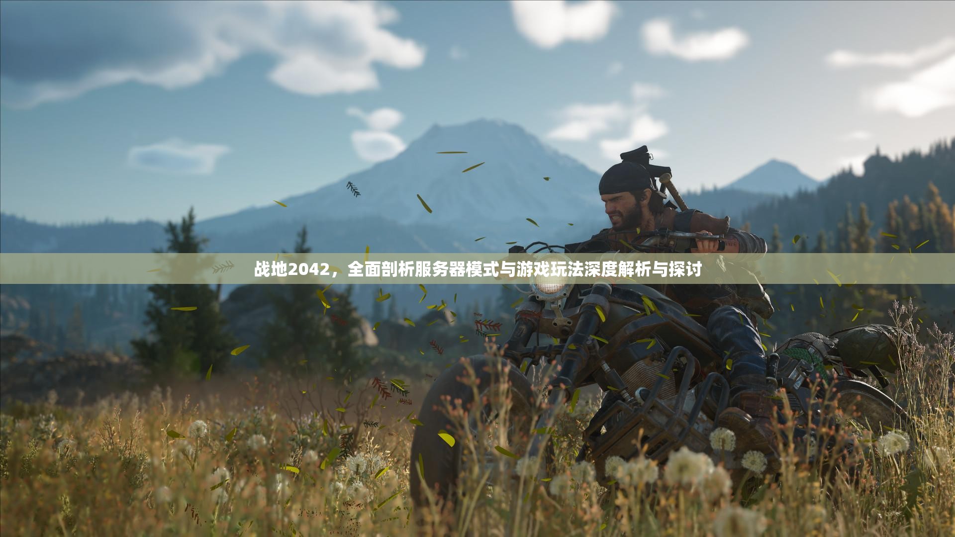 战地2042，全面剖析服务器模式与游戏玩法深度解析与探讨