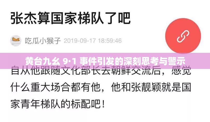 黄台九幺 9·1 事件引发的深刻思考与警示