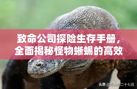 致命公司探险生存手册，全面揭秘怪物蜥蜴的高效应对策略
