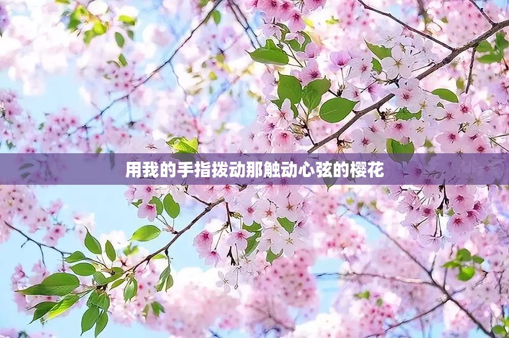 用我的手指拨动那触动心弦的樱花