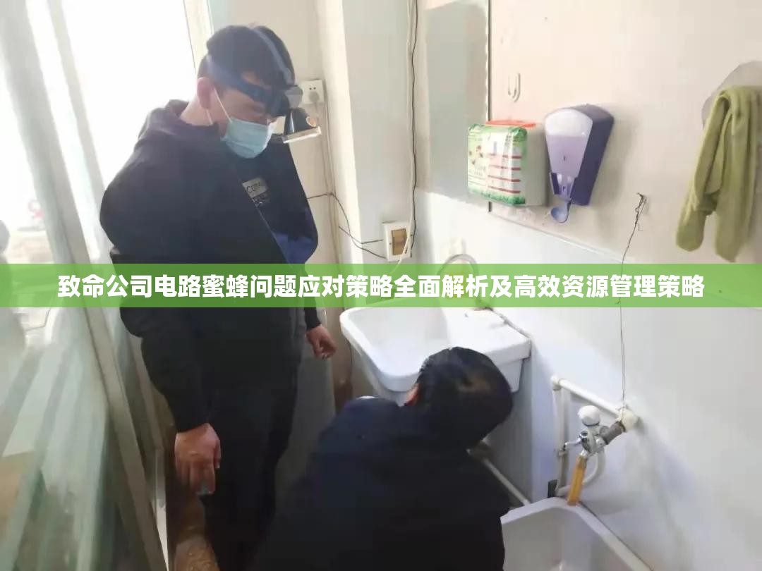 致命公司电路蜜蜂问题应对策略全面解析及高效资源管理策略