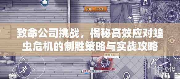 致命公司挑战，揭秘高效应对蝗虫危机的制胜策略与实战攻略