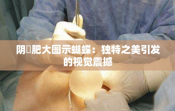 阴脣肥大图示蝴蝶：独特之美引发的视觉震撼