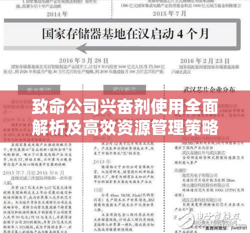 致命公司兴奋剂使用全面解析及高效资源管理策略指南