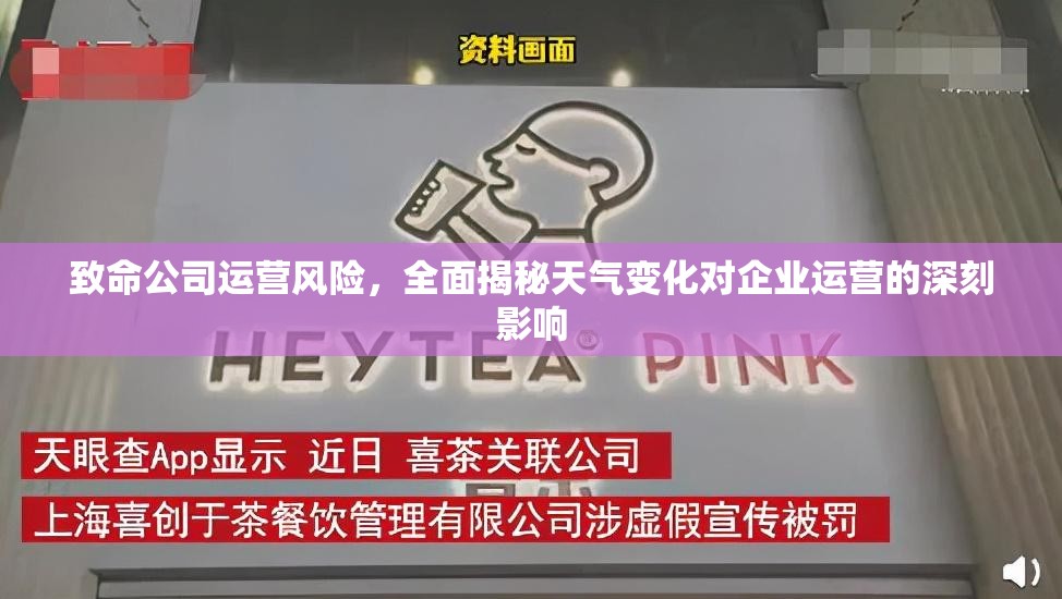 致命公司运营风险，全面揭秘天气变化对企业运营的深刻影响