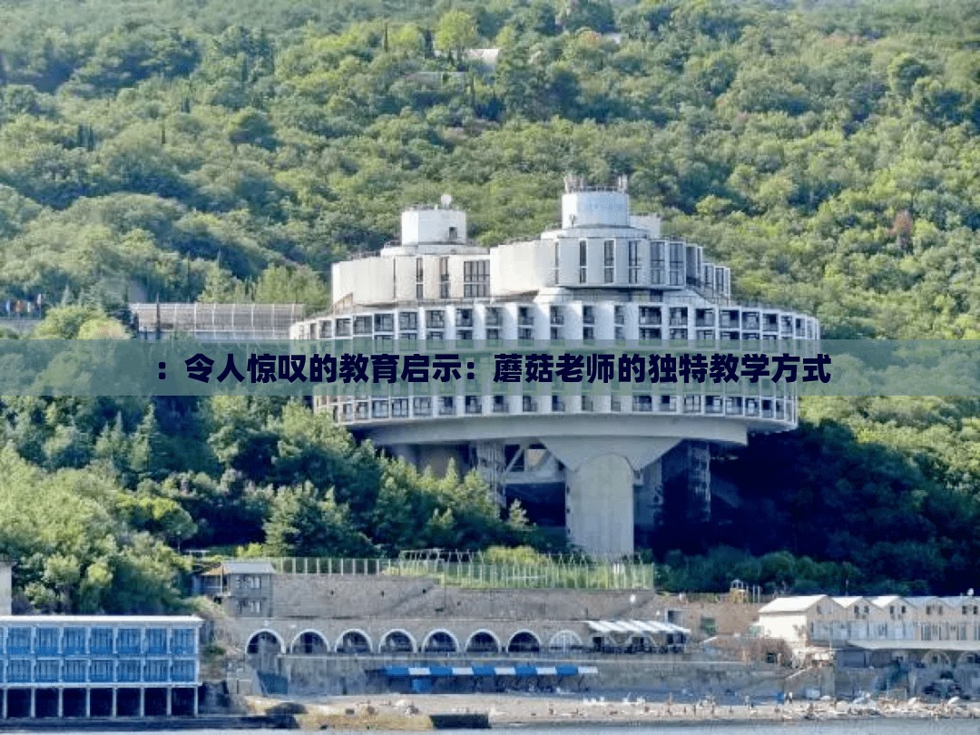 ：令人惊叹的教育启示：蘑菇老师的独特教学方式