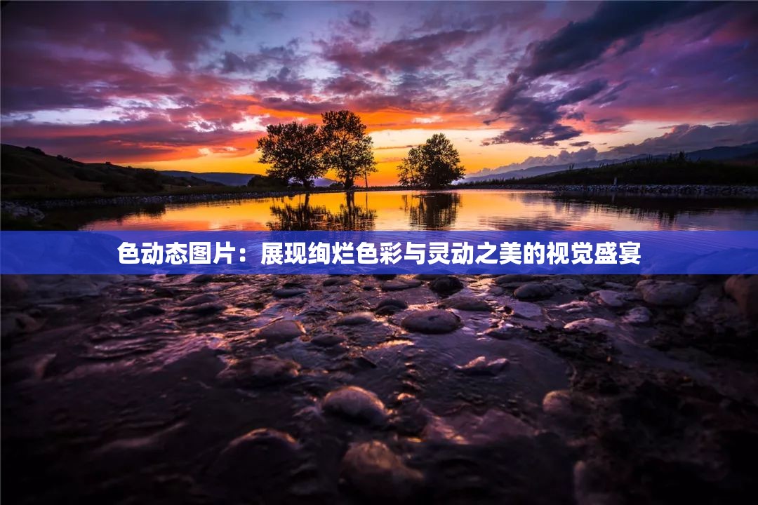 色动态图片：展现绚烂色彩与灵动之美的视觉盛宴