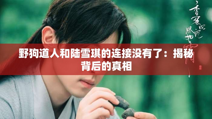 野狗道人和陆雪琪的连接没有了：揭秘背后的真相