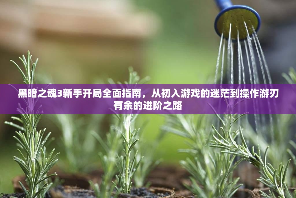 黑暗之魂3新手开局全面指南，从初入游戏的迷茫到操作游刃有余的进阶之路