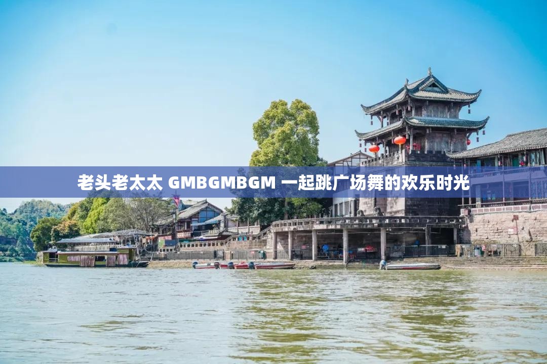 老头老太太 GMBGMBGM 一起跳广场舞的欢乐时光