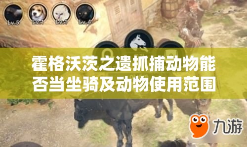 霍格沃茨之遗抓捕动物能否当坐骑及动物使用范围与资源管理详解