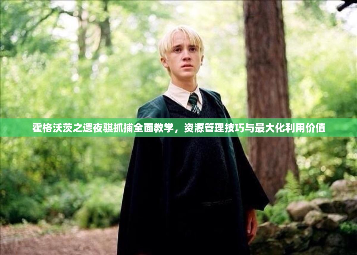 霍格沃茨之遗夜骐抓捕全面教学，资源管理技巧与最大化利用价值