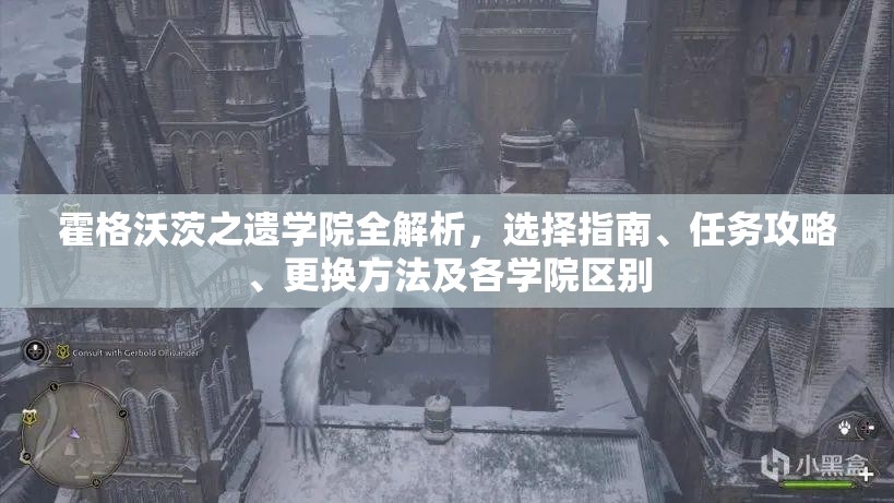 霍格沃茨之遗学院全解析，选择指南、任务攻略、更换方法及各学院区别