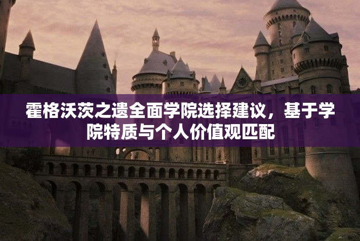 霍格沃茨之遗全面学院选择建议，基于学院特质与个人价值观匹配