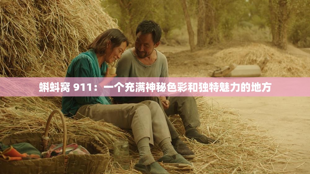 蝌蚪窝 911：一个充满神秘色彩和独特魅力的地方