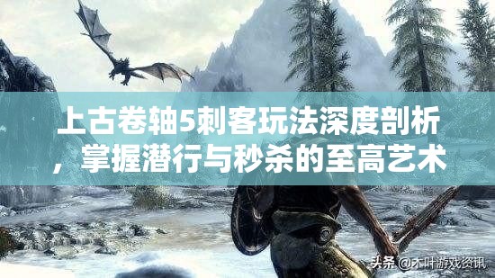 上古卷轴5刺客玩法深度剖析，掌握潜行与秒杀的至高艺术