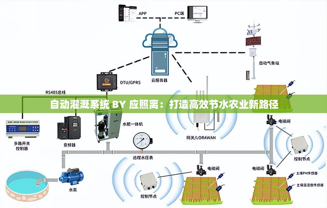 自动灌溉系统 BY 应照离：打造高效节水农业新路径