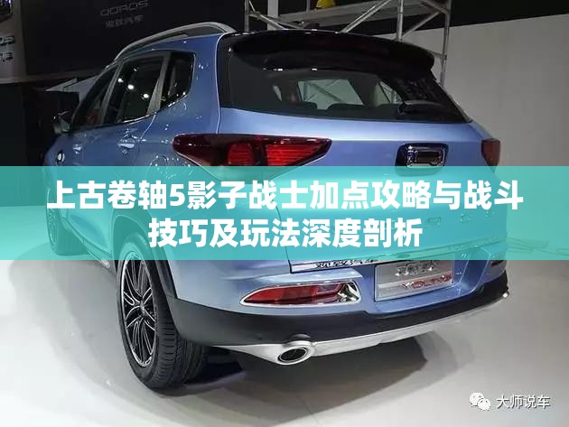 上古卷轴5影子战士加点攻略与战斗技巧及玩法深度剖析