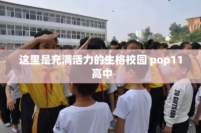 这里是充满活力的生格校园 pop11 高中