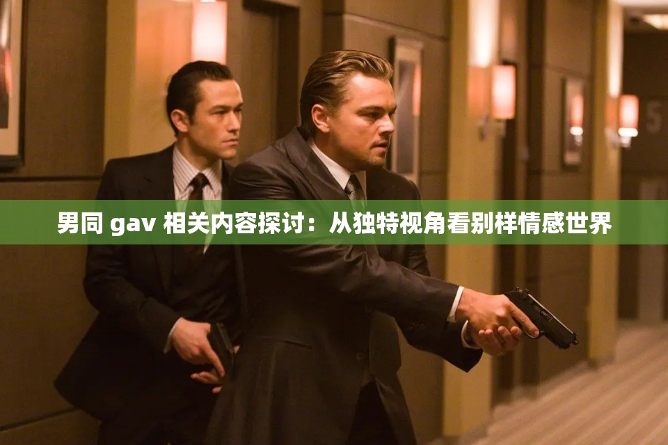男同 gav 相关内容探讨：从独特视角看别样情感世界