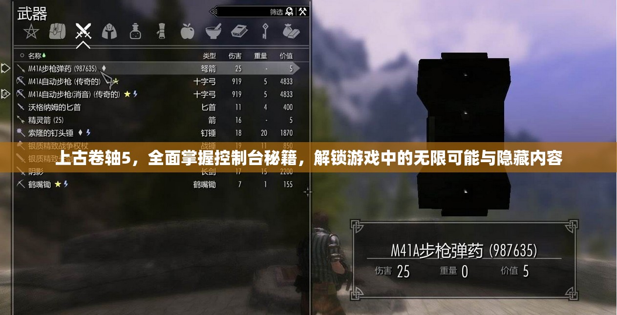 上古卷轴5，全面掌握控制台秘籍，解锁游戏中的无限可能与隐藏内容
