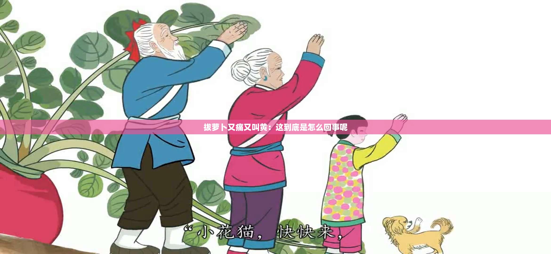 拔萝卜又痛又叫黄：这到底是怎么回事呢