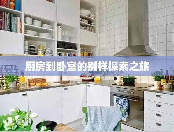 厨房到卧室的别样探索之旅