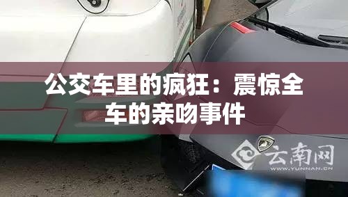 公交车里的疯狂：震惊全车的亲吻事件