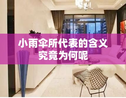 小雨伞所代表的含义究竟为何呢
