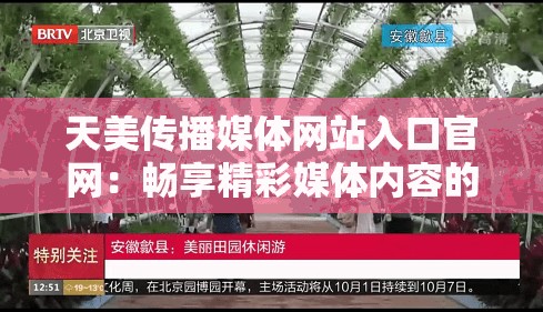 天美传播媒体网站入口官网：畅享精彩媒体内容的优质平台