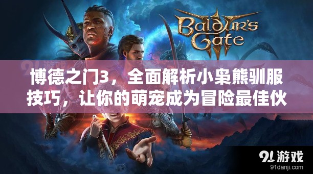 博德之门3，全面解析小枭熊驯服技巧，让你的萌宠成为冒险最佳伙伴