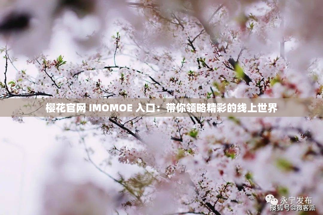 樱花官网 IMOMOE 入口：带你领略精彩的线上世界