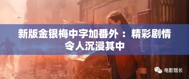 新版金银梅中字加番外 ：精彩剧情令人沉浸其中